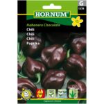 Habanero Chocolate