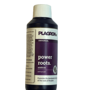 Plagron Power Roots 100 ml