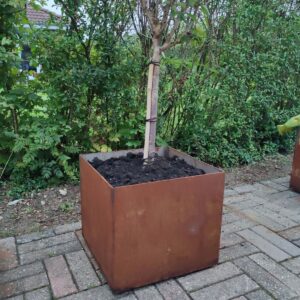 Planter in 5 mm steel plate with dimensions 40 x 40 x 35 cm