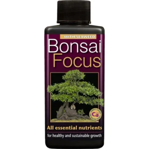 BONSAI FOCUS 100 ML