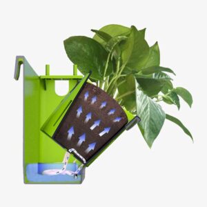 Plant wall pot for hydroponic growing