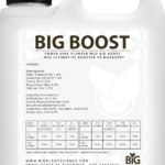 BIG BOOST – indhold og vejledning