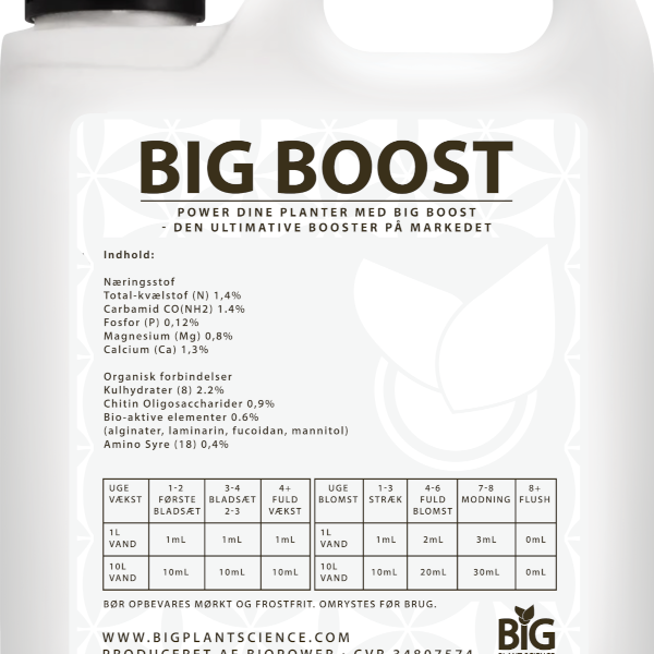 BIG BOOST – indhold og vejledning