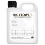 BIG FLOWERS - innhold og veiledning