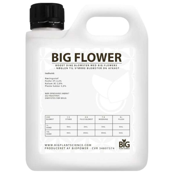 BIG FLOWERS - innhold og veiledning