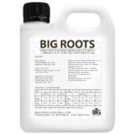 BIG ROOTS – indhold og vejledning