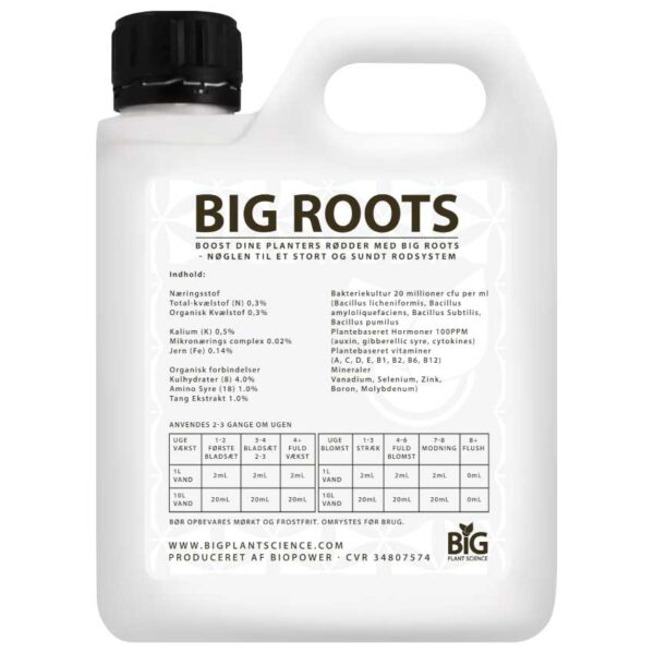 BIG ROOTS – indhold og vejledning