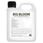BIG BLOOM – indhold og vejledning