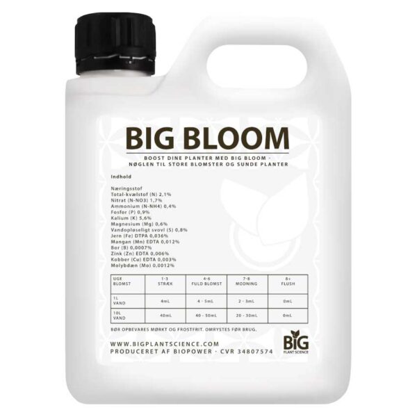BIG BLOOM – indhold og vejledning