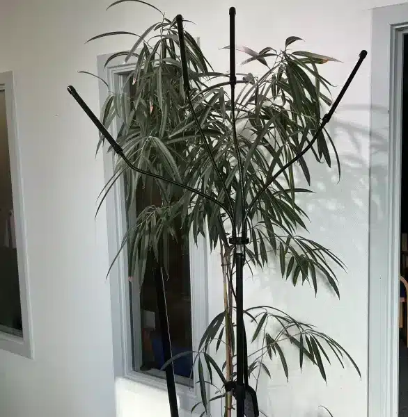 Gulvstående 4-armet Grolys-lampe