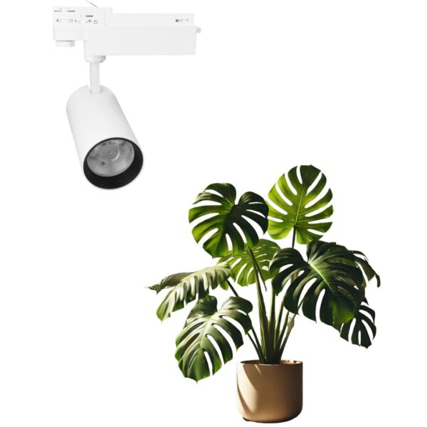 Sunlight Grolys til skinne og loftspot 40Watt Hvid