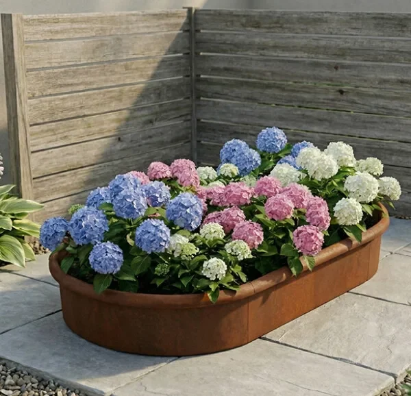 Ovalt opphøyet bed i rustfritt stål, 54 cm høyt (med sneglekant)