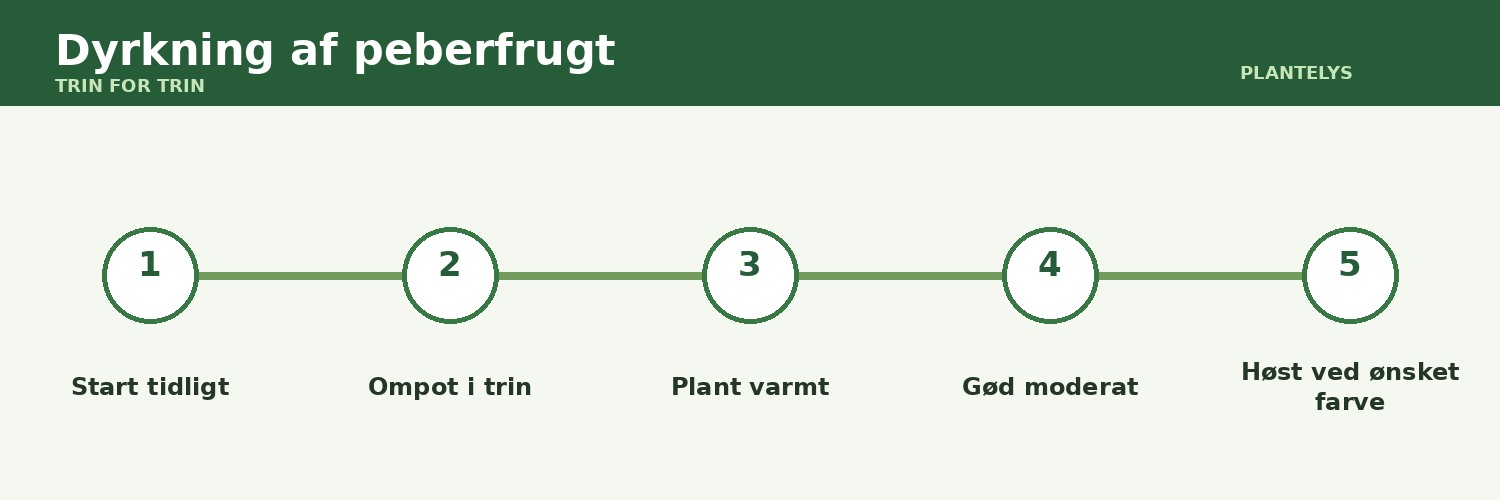 Dyrkning af peberfrugt – fra forspiring til modne frugter 1 Dyrkning af peberfrugt vist som trin-for-trin-guide