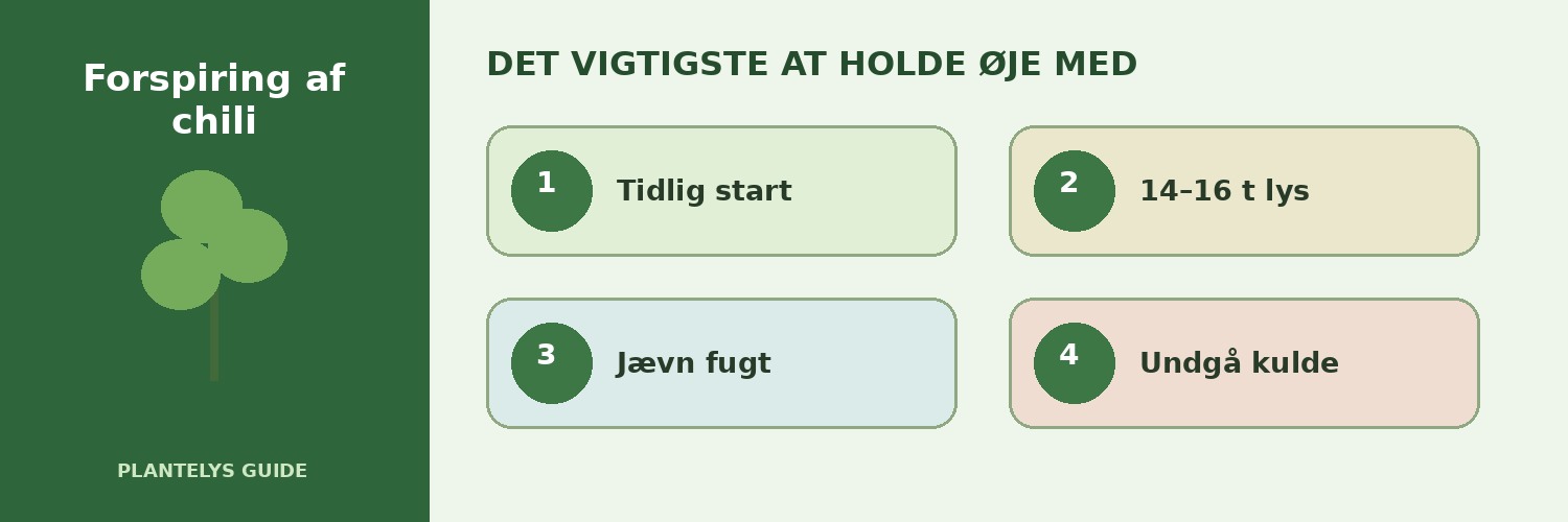 Forspiring af chili – sådan får du stærke chiliplanter 2 De vigtigste forhold ved forspiring af chili