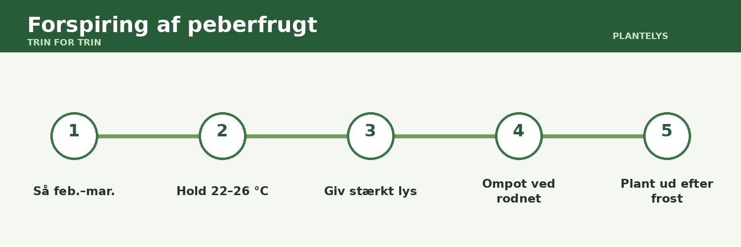 Försådd av paprika – en steg-för-steg-guide