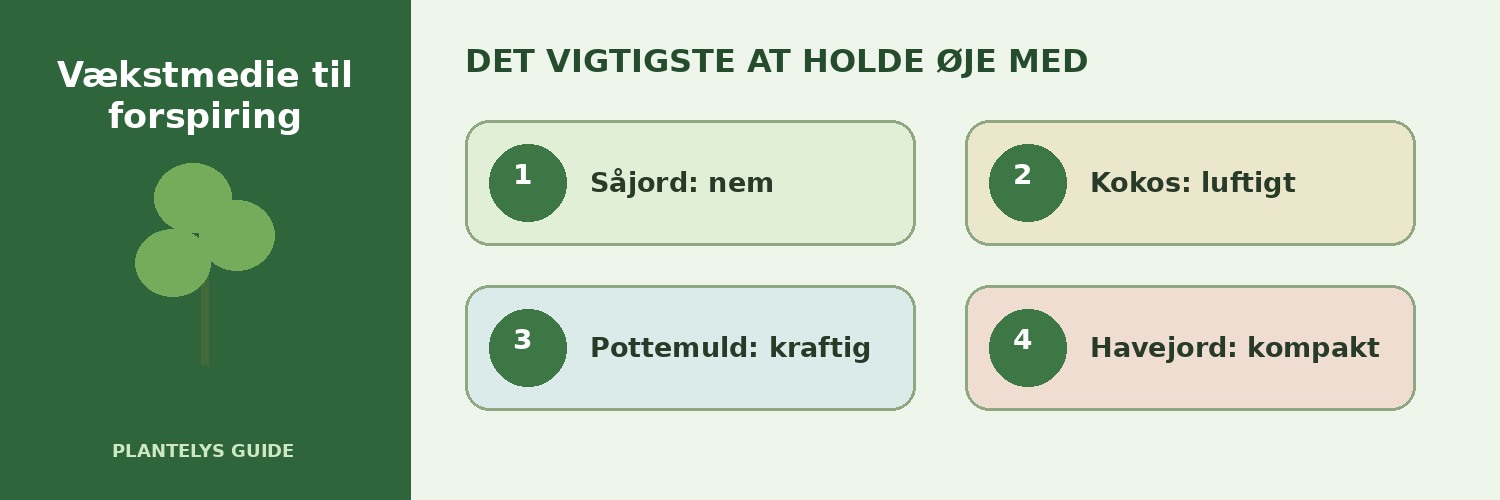 Såjord, kokos eller vækstmedie – hvad er bedst til forspiring? 2 De vigtigste forhold ved vækstmedie til forspiring