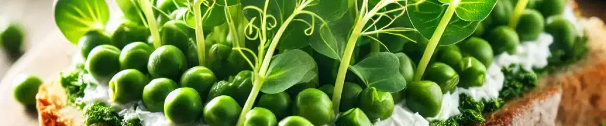 DALL·E 2025-03-21 11.11.18 – A close-up, high-quality image of a delicious open-faced sandwich topped with microgreens from pea shoots (ærtefrø). The sandwich is on rustic whole g DALL·E 2025-03-21 11.11.18 - A close-up, high-quality image of a delicious open-faced sandwich topped with microgreens from pea shoots (ærtefrø). The sandwich is on rustic whole g